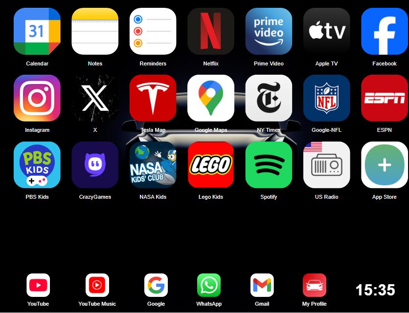 Tesla Dashboard Customization